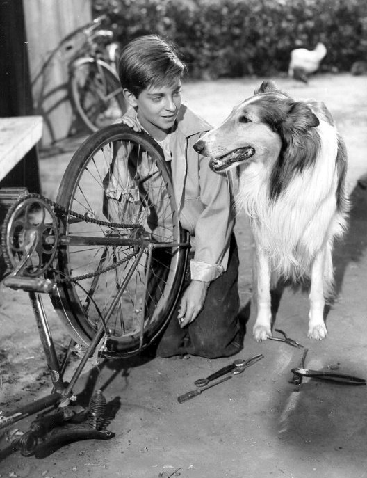 Lassie_and_Tommy_Rettig_1956
